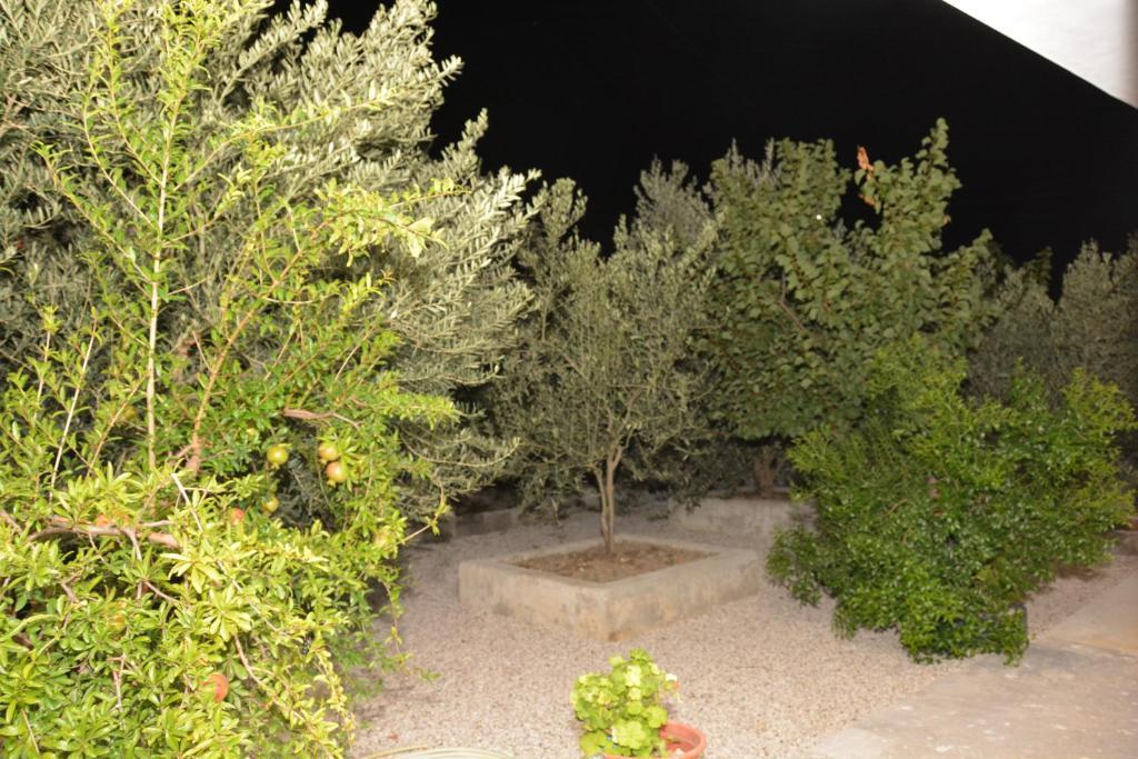 Mico'S Apartments Vlorë 外观 照片